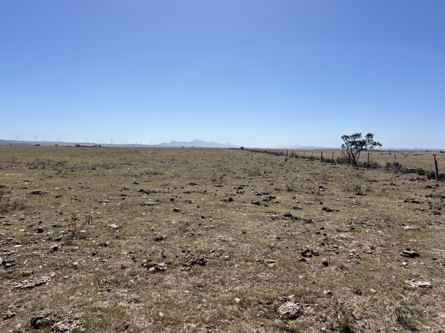 0 Bedroom Property for Sale in Humansdorp Rural Eastern Cape